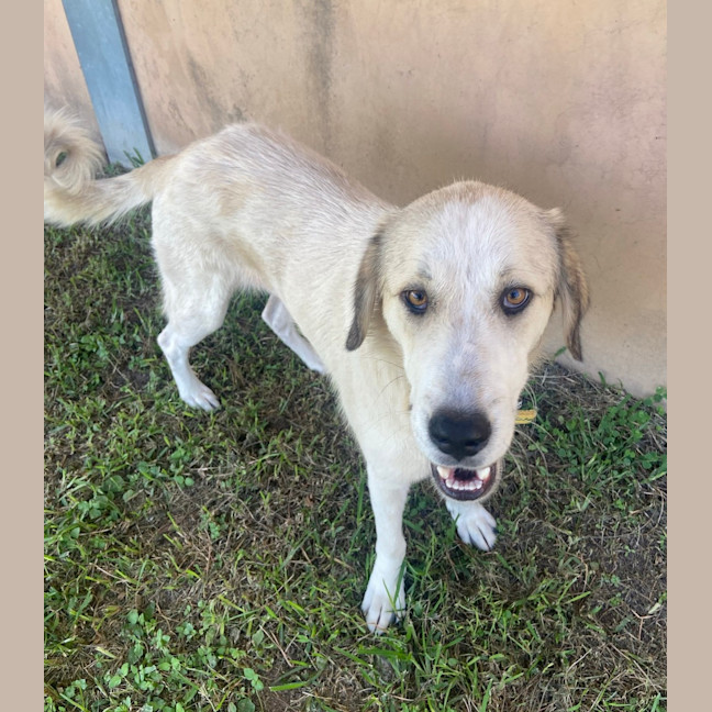Photo of Delilah 
