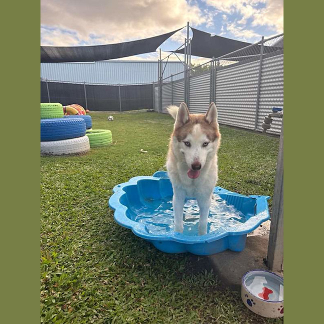 Photo of Zena