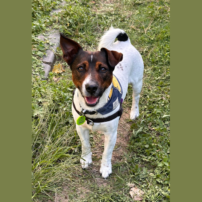 Photo of Eddie