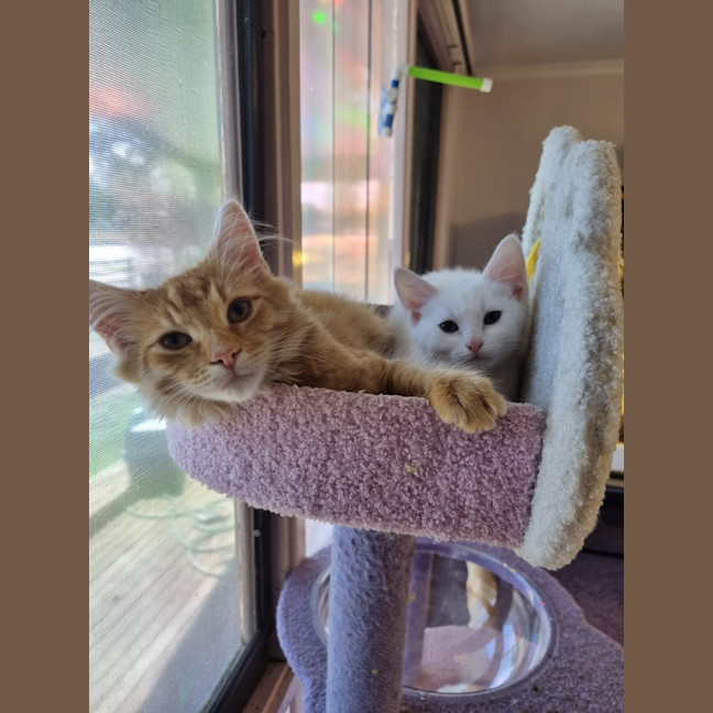 Photo of Finnick 💙