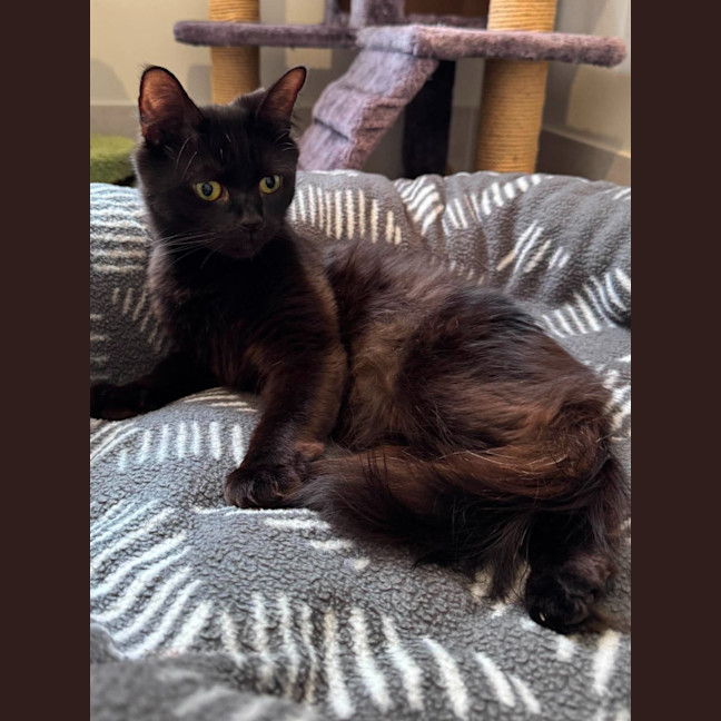 Photo of Mumma Miso