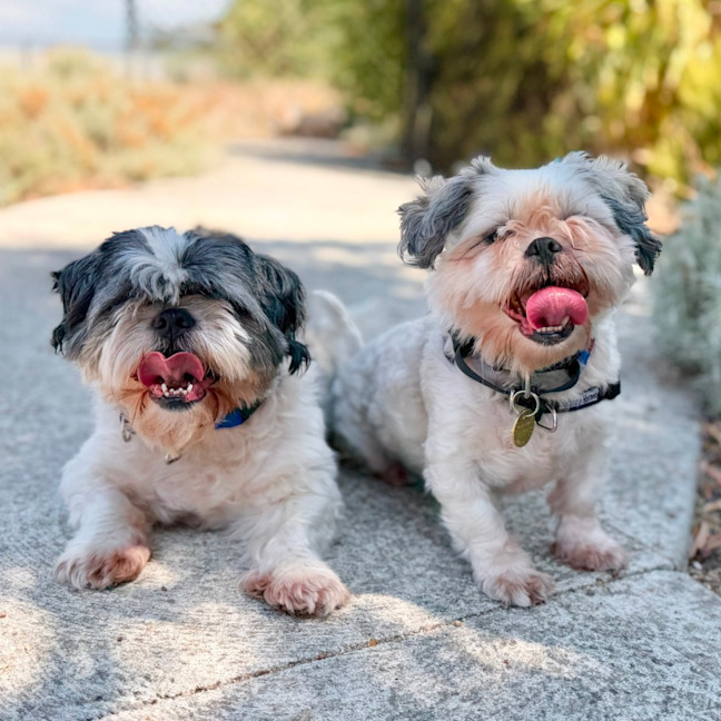 Photo of Milly & Billy