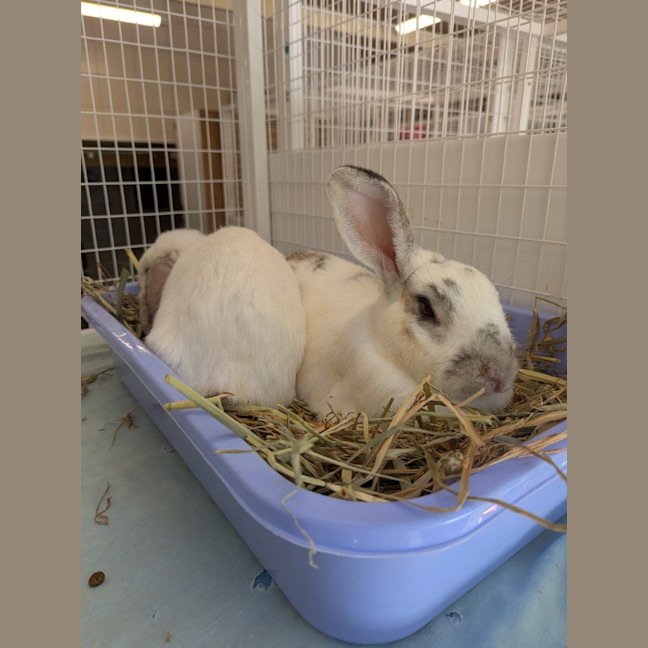 Photo of Samantha & Eddi