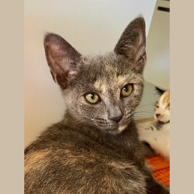 Photo of Monte Carlo