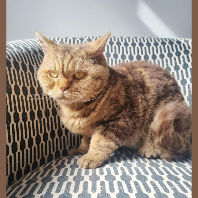 Photo of 🥜Carmen🥜