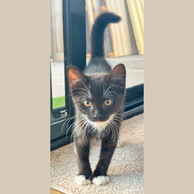 Photo of Sprout