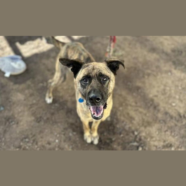 Photo of Sprout