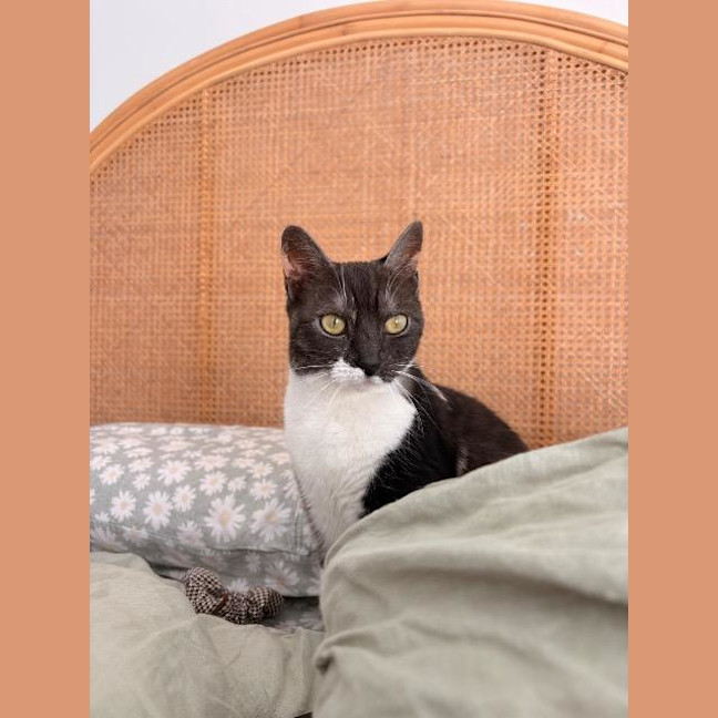 Photo of Maggie