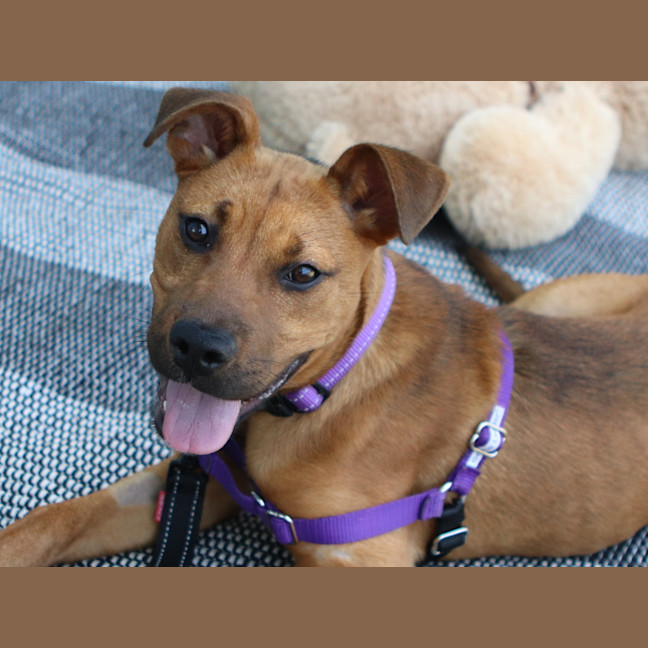 Photo of Milly