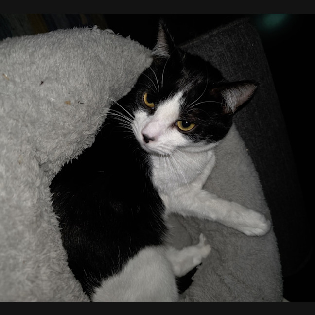Photo of Margarita