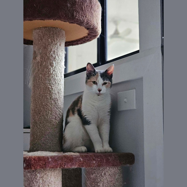 Photo of Jessica 
