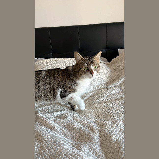 Photo of Lenny