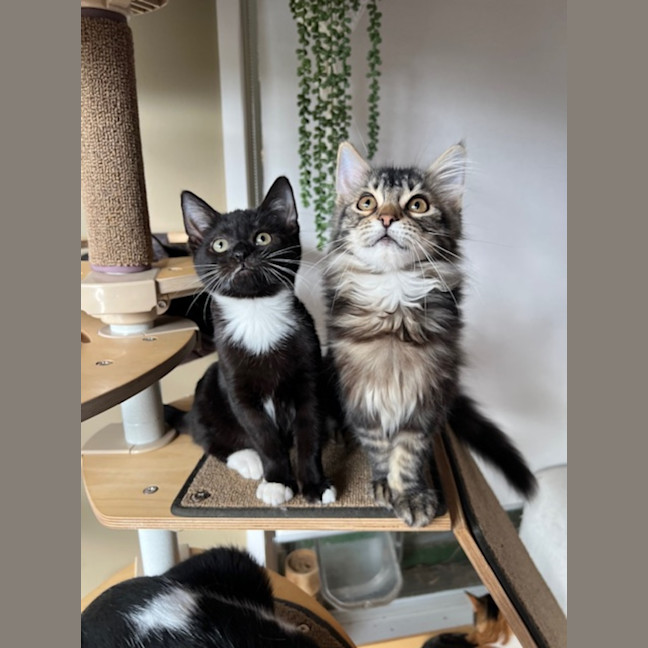 Photo of Jack & Jupiter