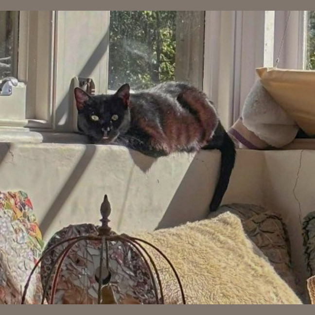 Photo of Chloe