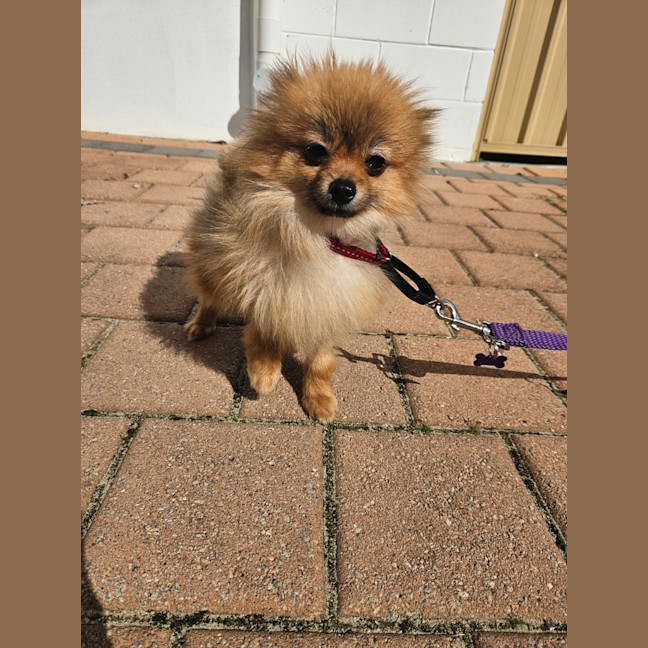 Photo of Lexi