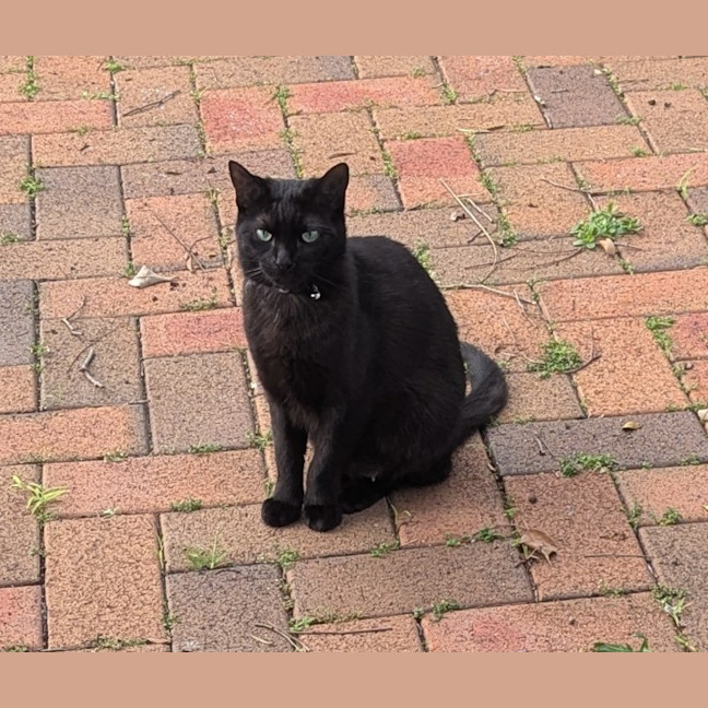 Photo of Emmy