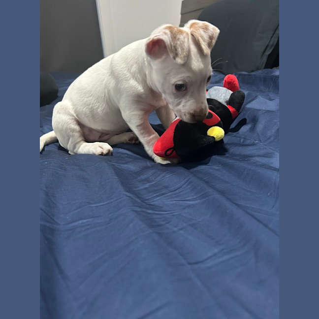 Photo of Gyn (Was Luna)