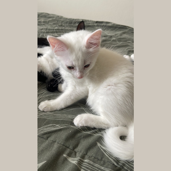 Photo of Minnie