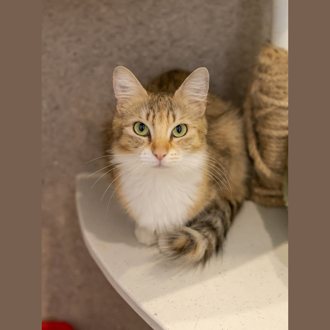 Photo of Madam Maxine