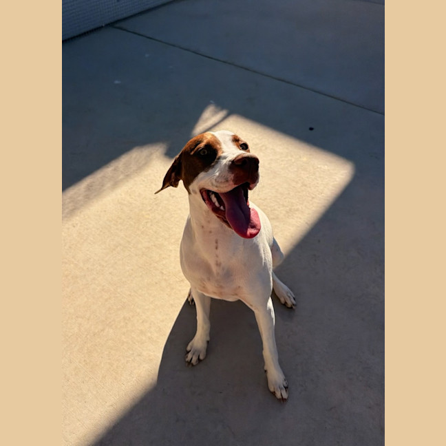 Photo of Bella