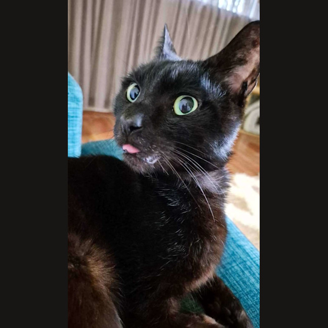 Photo of Miles