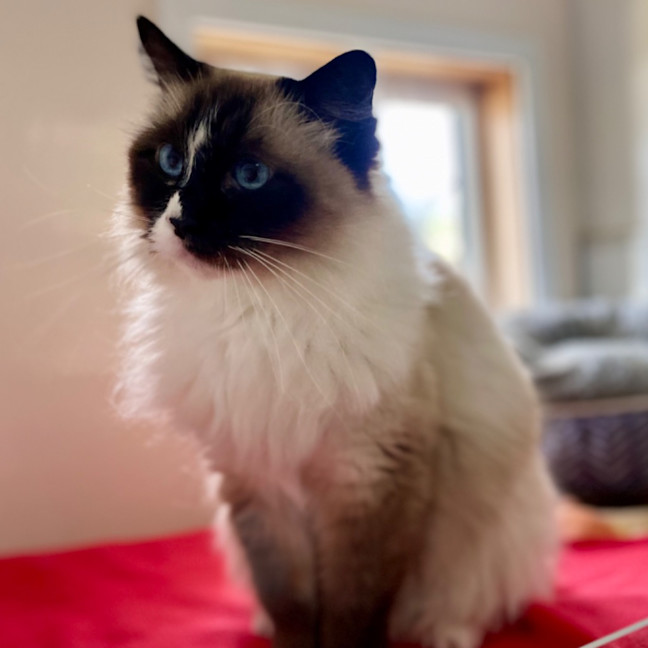 Photo of Mia