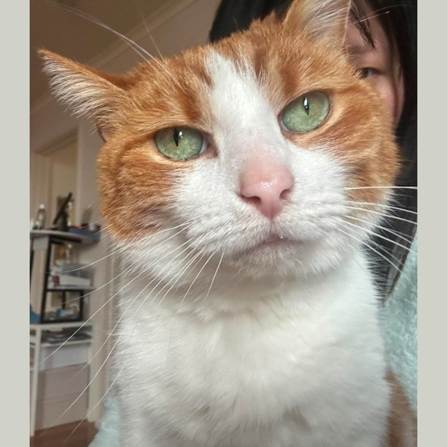 Photo of Charlie 