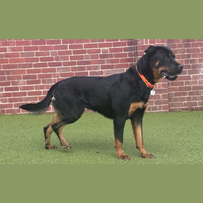 Photo of Jessie