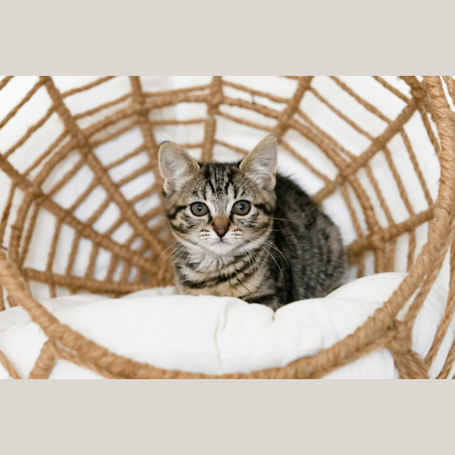 Photo of Milly