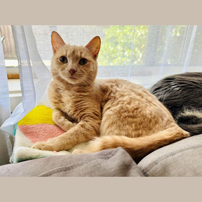 Photo of Abigail   Located In Fairfield