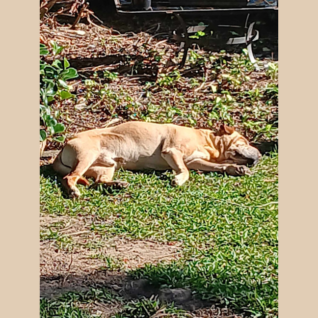 Photo of Fozzie Bear