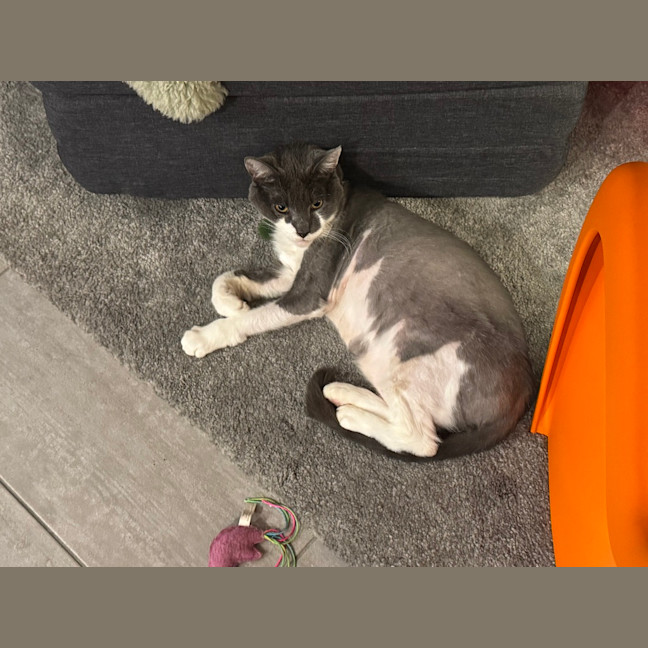 Photo of Principal Flutie 