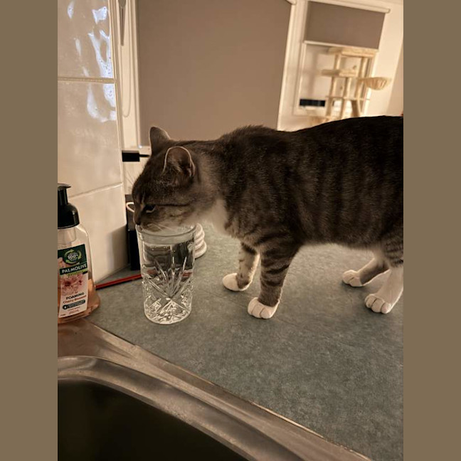 Photo of Thunda