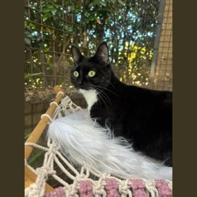 Photo of Rhonda