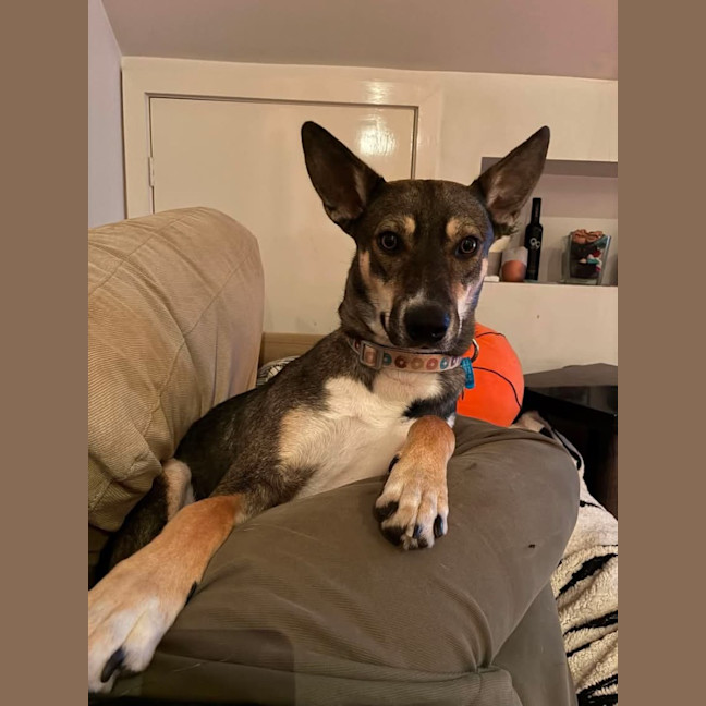 Photo of Max