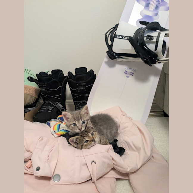 Photo of Juliet & Storm