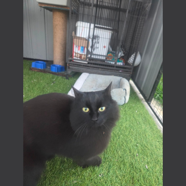 Photo of Wednesday