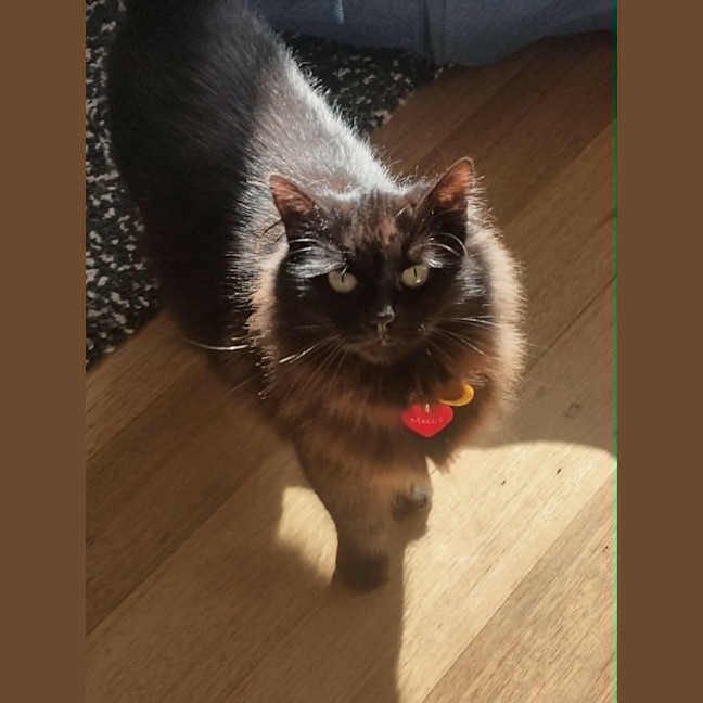 Photo of Maggie