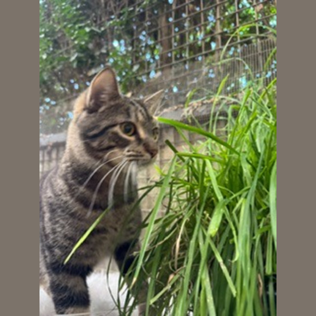 Photo of Monty