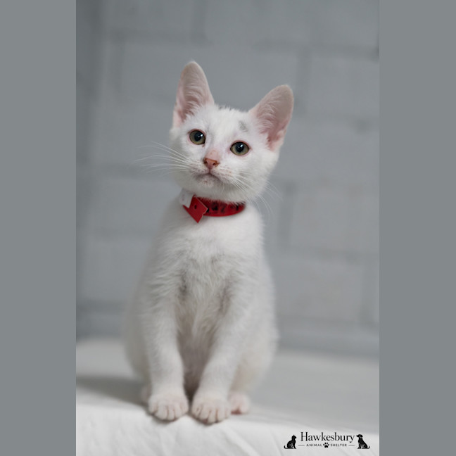 Photo of Velma