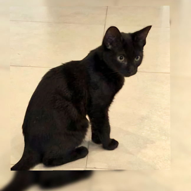 Photo of Miso & Soba