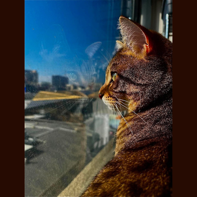 Photo of Rosie