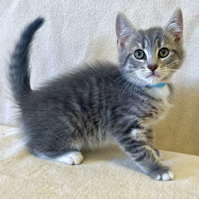 Photo of Riot
