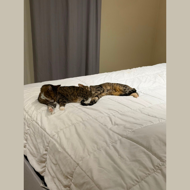 Photo of Blinky & Sparrow