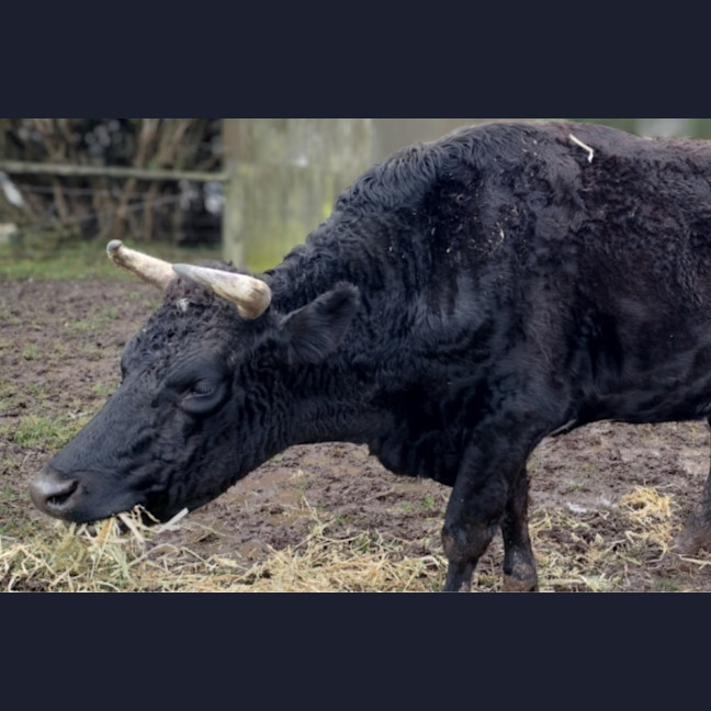 Photo of Miss Gerri & Jack