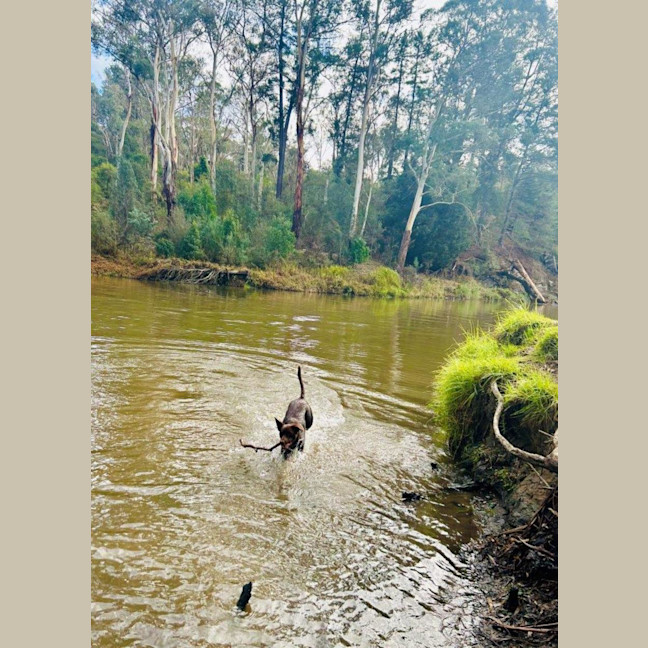 Photo of Milo Haliwell