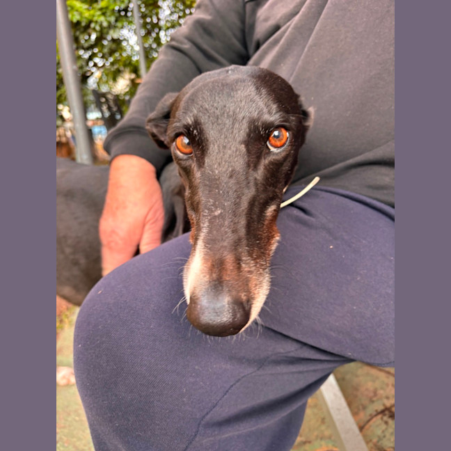 Photo of Macca