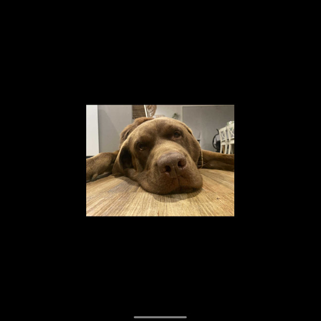 Photo of Freddy