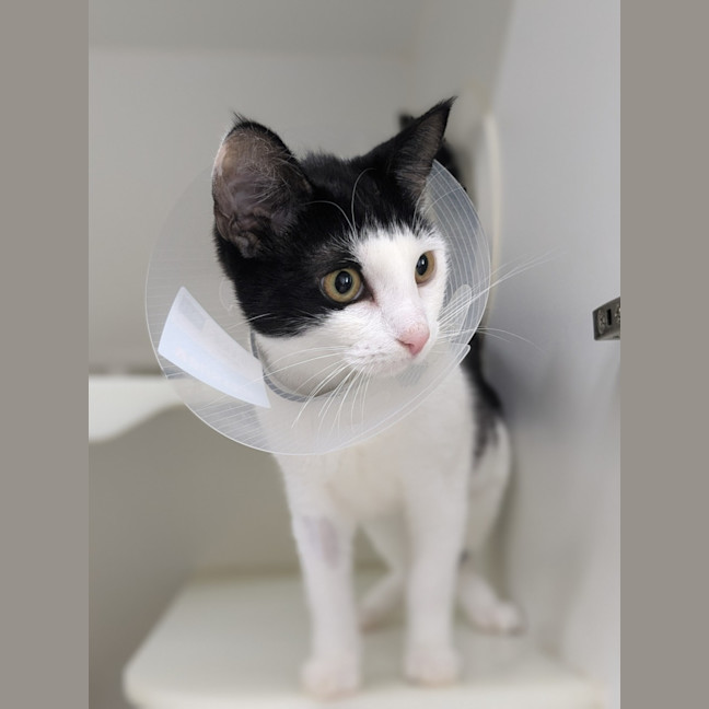 Photo of 🌺 Yasmine 5798 🌺