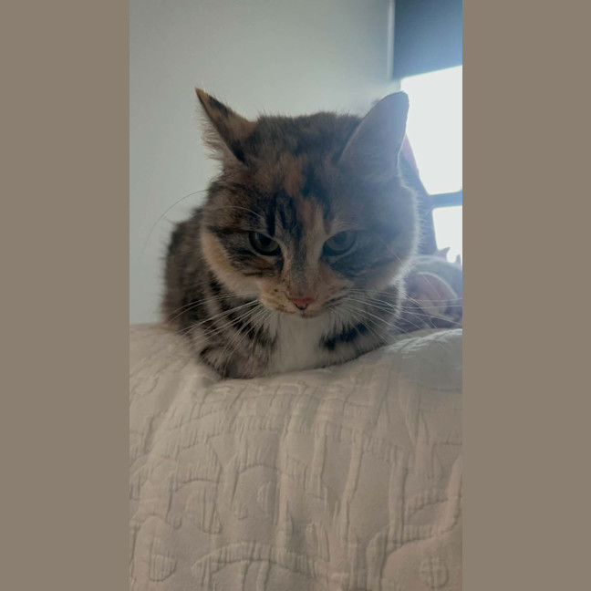 Photo of Jasmine